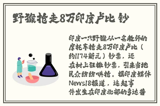 抠逼抠逼欧美